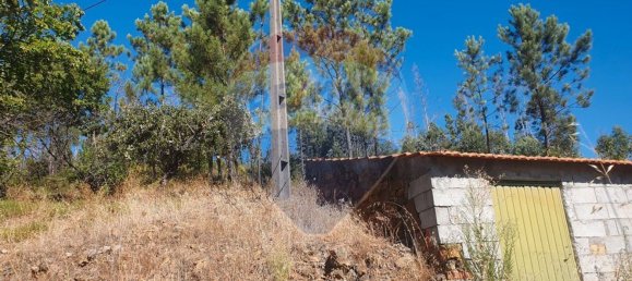 3 bedrooms House in Troviscal, Portugal No. 172364 2