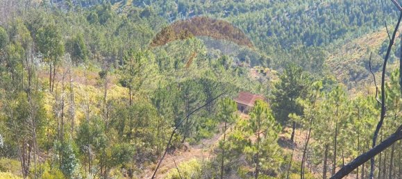 3 bedrooms House in Troviscal, Portugal No. 172364 25