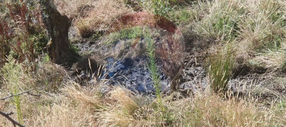 3 bedrooms House in Troviscal, Portugal No. 172364 6