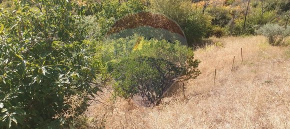 3 bedrooms House in Troviscal, Portugal No. 172364 36