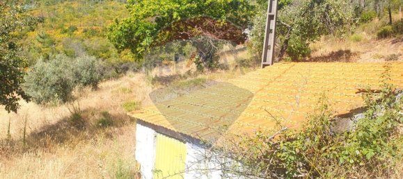 3 bedrooms House in Troviscal, Portugal No. 172364 31