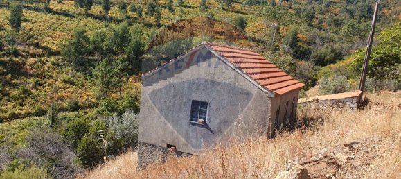 3 bedrooms House in Troviscal, Portugal No. 172364 13