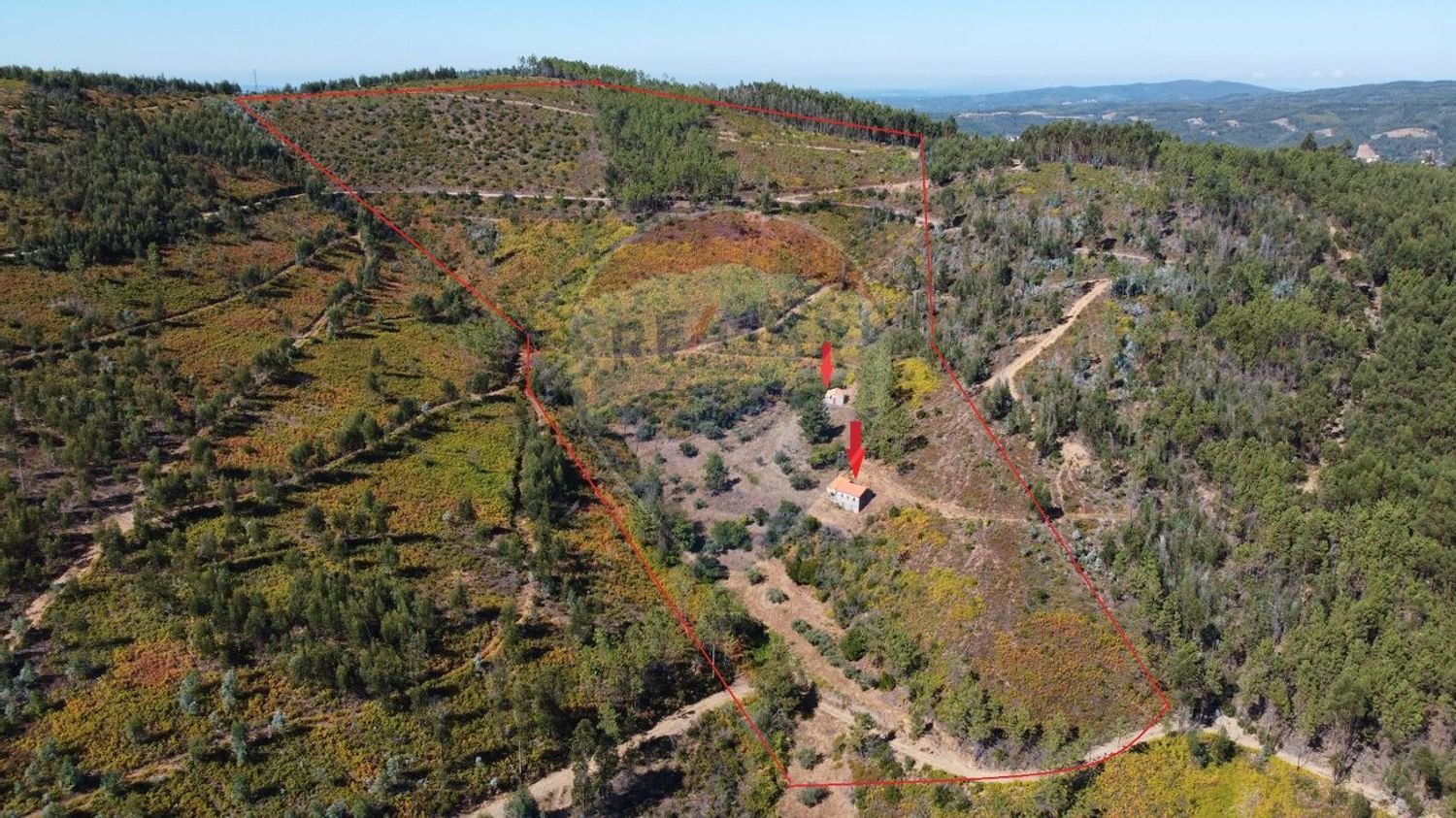 3 bedrooms House in Troviscal, Portugal No. 172364