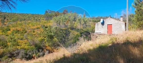 3 bedrooms House in Troviscal, Portugal No. 172364 20