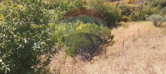 3 bedrooms House in Troviscal, Portugal No. 172364 35