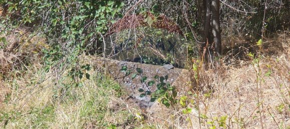 3 bedrooms House in Troviscal, Portugal No. 172364 5