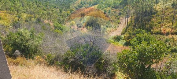 3 bedrooms House in Troviscal, Portugal No. 172364 30