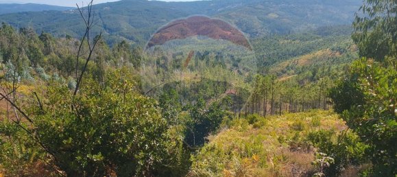 3 bedrooms House in Troviscal, Portugal No. 172364 24