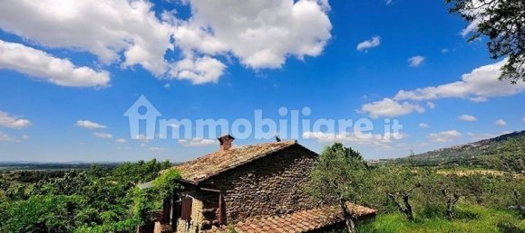 Дом с 8 спальнями в Кортона, Италия № 55652 27