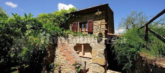 Дом с 8 спальнями в Кортона, Италия № 55652 21