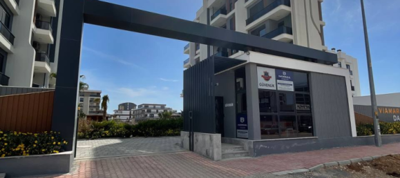 Apartment 1+1 in Altintash, Turkey No. 41128 13