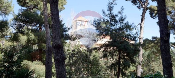 3 Schlafzimmer Wohnung in Bari, Italy, Nr. 43356 5