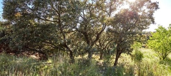  Land in San Sebastian de los Reyes, Spain No. 84479 10