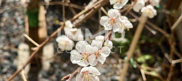 3 bedrooms Apartment in Dobling, Austria No. 181234 8