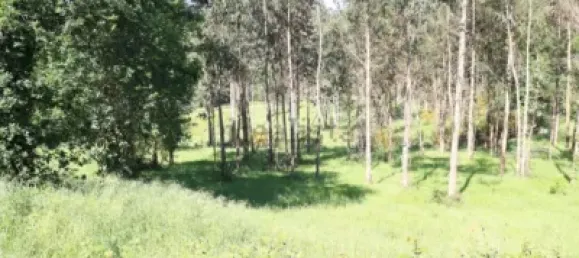 Grundstück in Vedra, Spain, Nr. 74722 9