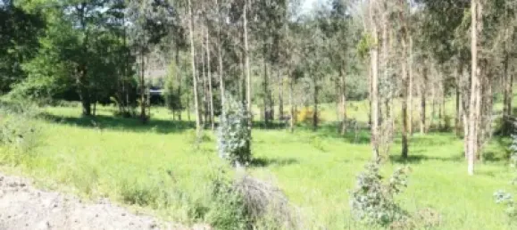 Grundstück in Vedra, Spain, Nr. 74722 3