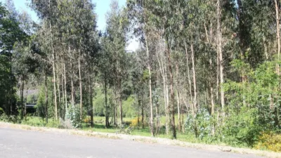 Grundstück in Vedra, Spain, Nr. 74722