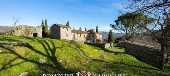 70 rooms Castles in Talla, Italy No. 281380 19