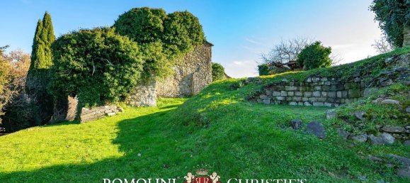 70 rooms Castles in Talla, Italy No. 281380 6