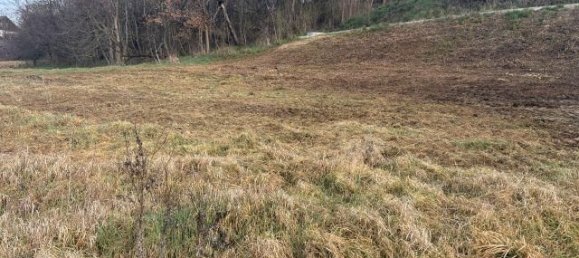  قطعة أرض في Perg, Austria رقم 134297 3