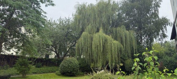 3 rooms Apartment in Ohlsdorf, Austria No. 204973 5