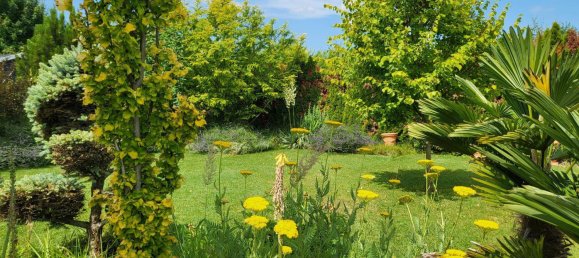 3 bedrooms House in Zurndorf, Austria No. 155727 15