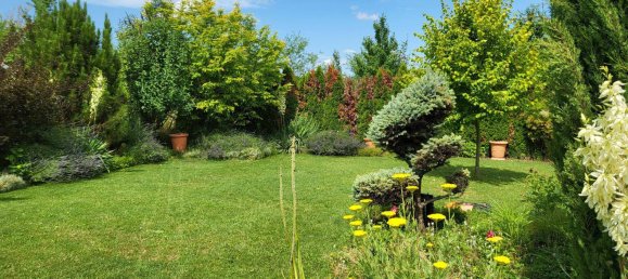 3 bedrooms House in Zurndorf, Austria No. 155727 16