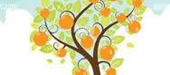 Grundstück in Chioggia, Italy 1790m², Nr. 59026 10