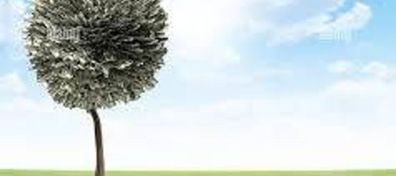 Grundstück in Chioggia, Italy 1790m², Nr. 59026 11