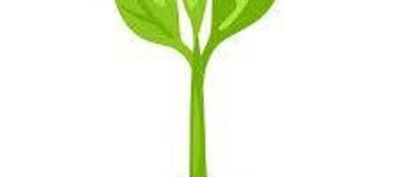 Grundstück in Chioggia, Italy 1790m², Nr. 59026 6