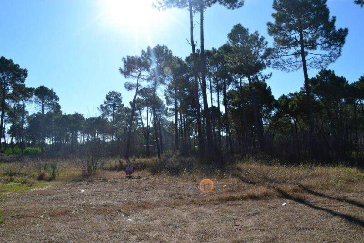 Земельный участок в Мар-дель-Плата, Аргентина № 113778