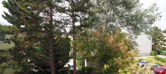 Квартира с 1 спальней в Винер Нойдорф, Австрия № 227987 14