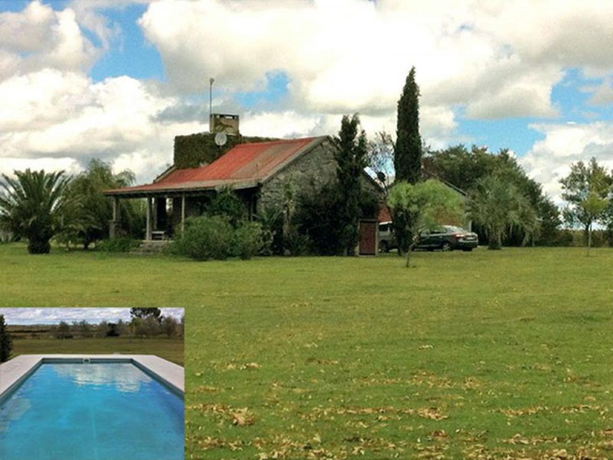  مزرعة في Maldonado, Uruguay رقم 15958