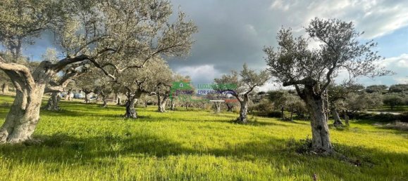 4 rooms Villa in Chiaramonte Gulfi, Italy No. 105995 25