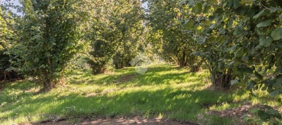 8 chambres Maison à Sutri, Italy No. 363189 10