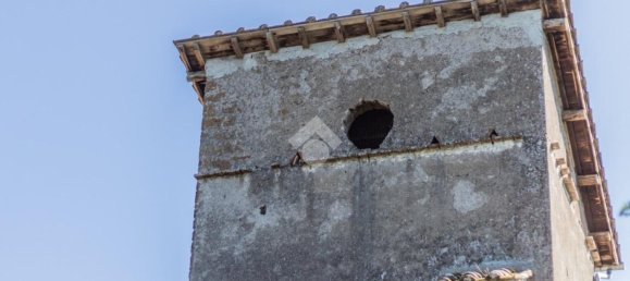 8 chambres Maison à Sutri, Italy No. 363189 12