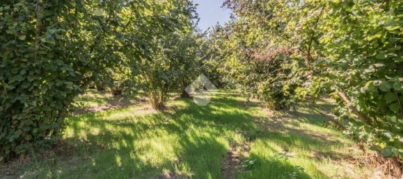 8 chambres Maison à Sutri, Italy No. 363189 6