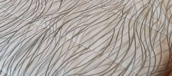 4 chambres Appartement à Casei Gerola, Italy No. 102303 17