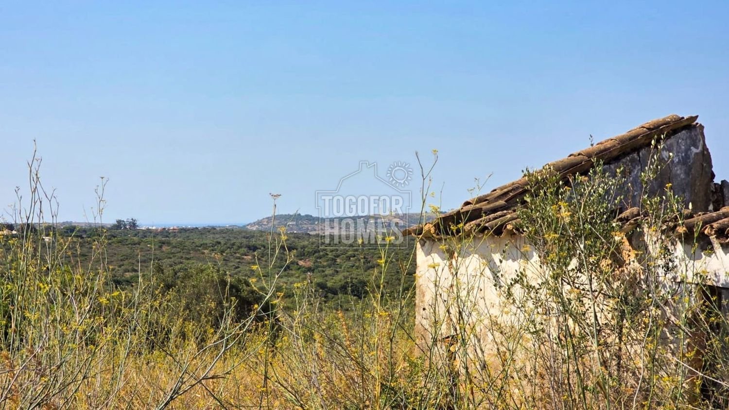 84360m² Land in Lagos, Portugal No. 227997