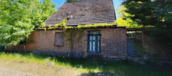 3غرفة منزل في Mecklenburgische Seenplatte, Germany رقم 276706 14