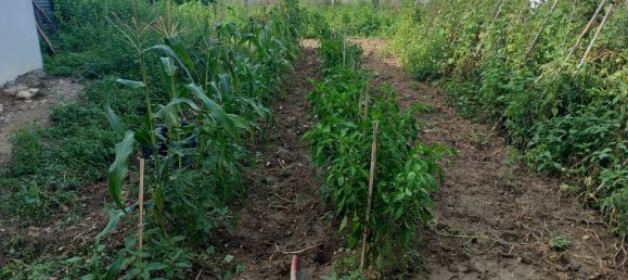 6 غرف نوم منزل في Miglianico, Italy رقم 339833 41