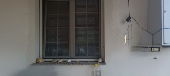 6 غرف نوم منزل في Miglianico, Italy رقم 339833 5