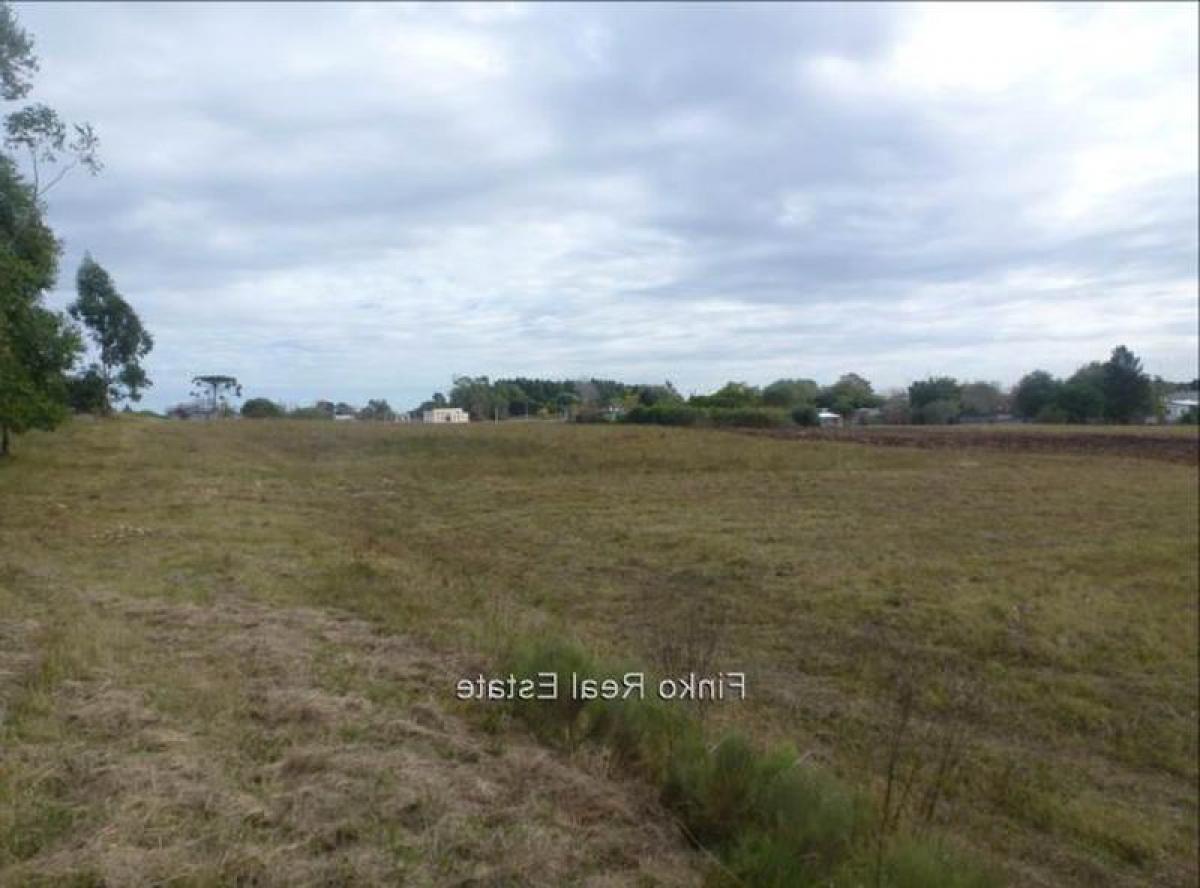 4 bedrooms House in Montevideo, Uruguay No. 7230