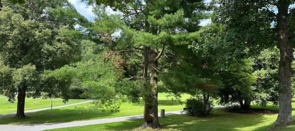 Apartamento de 3 dormitorios en Calw, Germany No. 226573 11