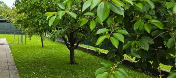 6-Zimmer Haus in Traiskirchen, Austria, Nr. 142851 12