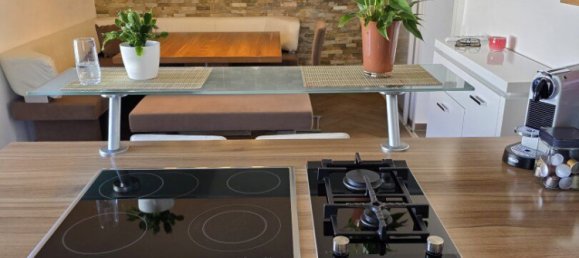 6-Zimmer Haus in Traiskirchen, Austria, Nr. 142851 3