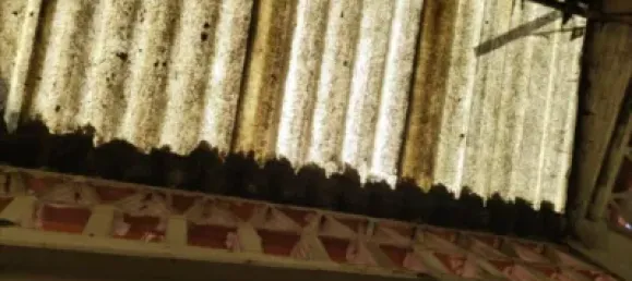 Gewerbliche Immobilie in Alzira, Spain 144m², Nr. 153734 19