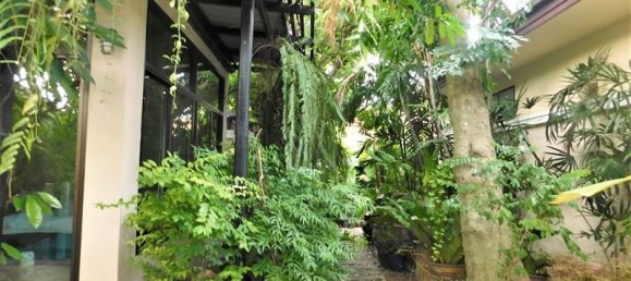 3 chambres Café / restaurant à Pattaya, Thailand No. 4045 8