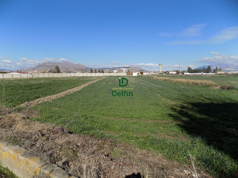 Terreno en Santa Fe, Spain 4871 m² No. 226543