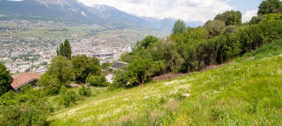 Земельный участок 1078м² в Salins, Швейцария № 332 8